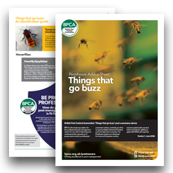 Things-that-go-buzz-wasps-bees-guide Things-that-go-buzz-wasps-bees-guide